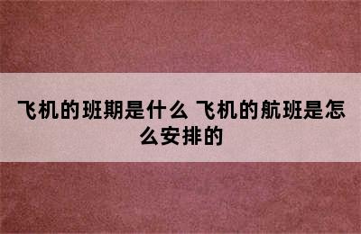 飞机的班期是什么 飞机的航班是怎么安排的